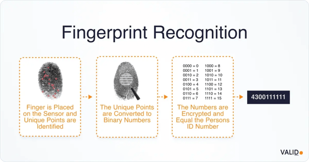 fingerprint-recognition