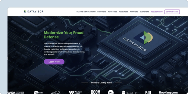datavisor-homepage
