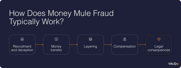 how-does-money-mule-fraud-typically-work