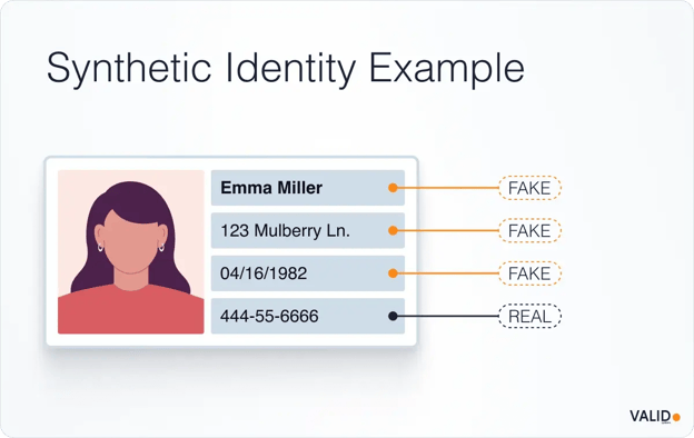synthetic-identity-example