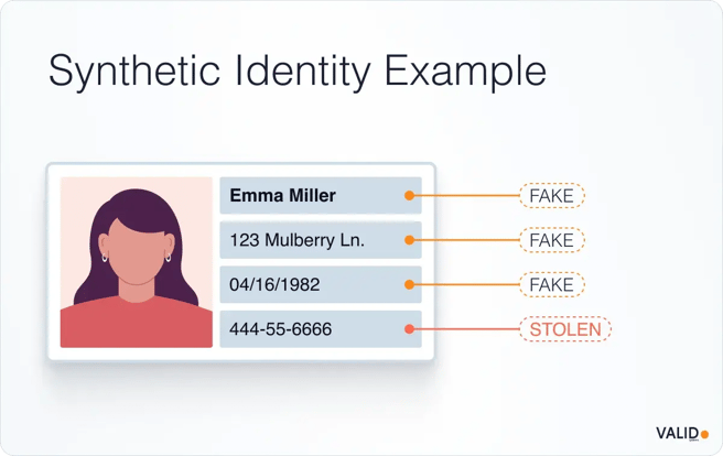 synthetic-identity-example