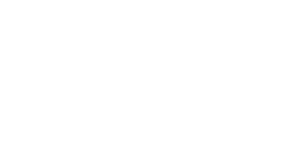 $6T